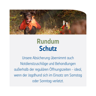 JRV Ludi in Kachel 3